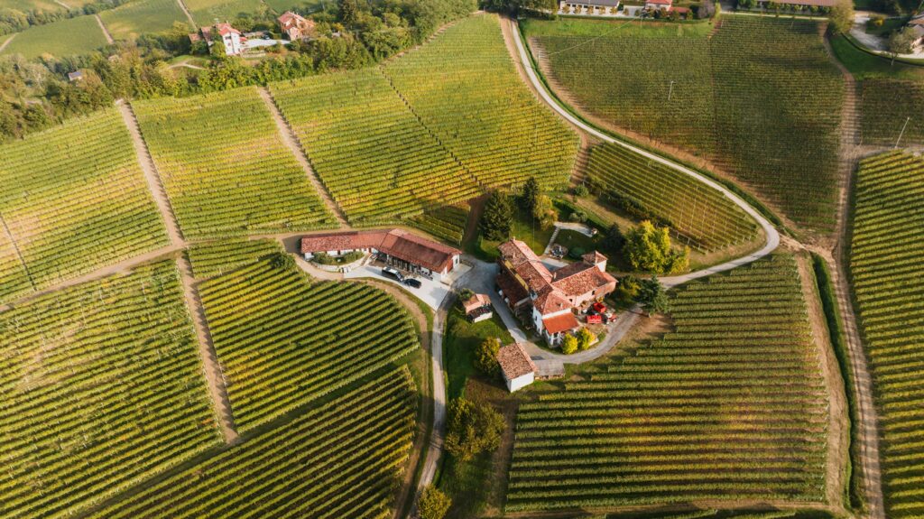 Drone shot of vineyards surrounding a rural estate in Monforte d'Alba, Italy.