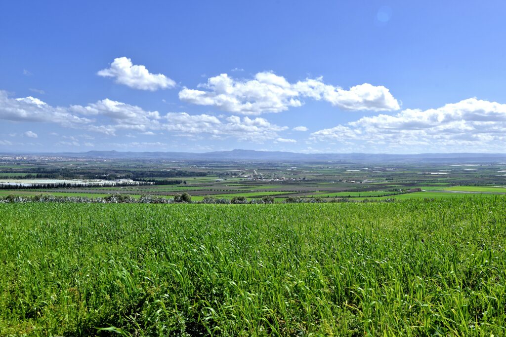 A vast landscape of lush fields under a vibrant blue sky in Moulay Yaâcoub, Morocco.